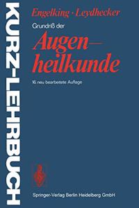 Grundriss Der Augenheilkunde: Mit Einem Repetitorium Fur Studenten (16., Neu Bearb. Aufl.)