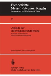 Aspekte Der Informationsverarbeitung