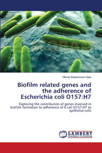 Biofilm related genes and the adherence of Escherichia coli O157