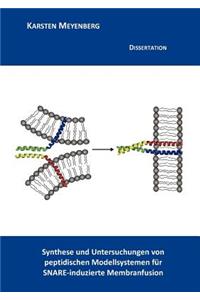 Synthese und Untersuchungen von peptidischen Modellsystemen für SNARE-induzierte Membranfusion