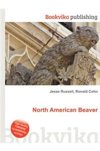 North American Beaver