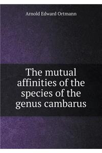 The Mutual Affinities of the Species of the Genus Cambarus