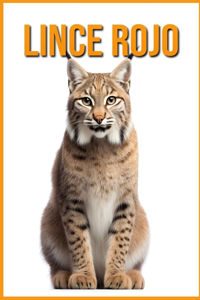 Lince rojo