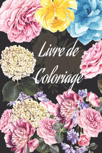 Livre de coloriage