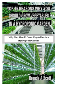 Top 15 Reasons Why You Should Grow Vegetables in a Hydroponic Garden