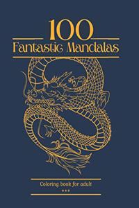 100 Fantastic Mandalas Coloring book for adults