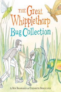 Great Whipplethorp Bug Collection