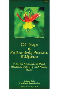 265 Images of Northern Rocky Mountains Wildflowers