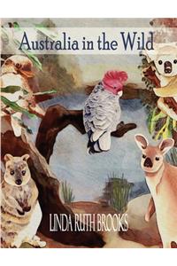 Australia in the Wild