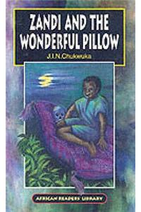 Zandi and the Wonderful Pillow