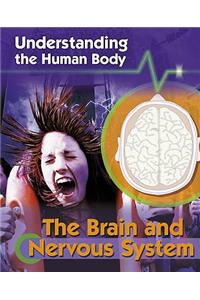 Brain and Nervous System