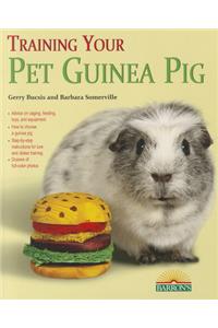 Training Your Guinea Pig