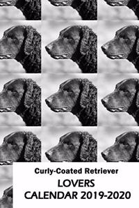 Curly-Coated Retriever Lovers Calendar 2019-2020