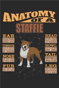 Anatomy Of A Staffie