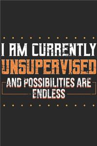 I Am Currently Unsupervised And Possibilities Are Endless