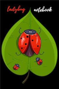 Ladybug Notebook