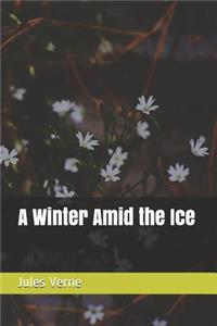 A Winter Amid the Ice