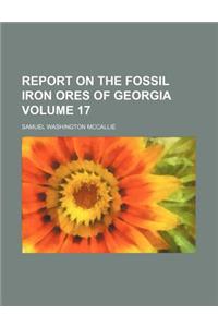 Report on the Fossil Iron Ores of Georgia Volume 17