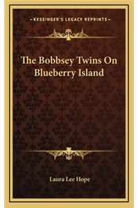 Bobbsey Twins On Blueberry Island