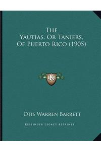Yautias, Or Taniers, Of Puerto Rico (1905)