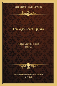 Een Sago-Boom Op Java