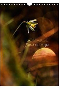 Hommage Fleurs Sauvages 2018