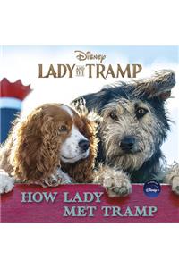 Lady and the Tramp: How Lady Met Tramp