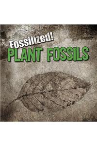 Plant Fossils