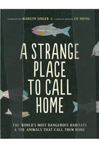 A Strange Place to Call Home