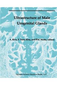 Ultrastructure of the Male Urogenital Glands