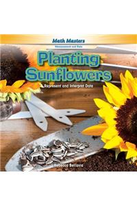 Planting Sunflowers