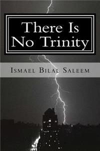 There Is No Trinity