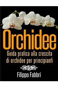 Orchidee. Guida pratica alla crescita di orchidee per principianti.