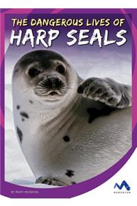 The Dangerous Lives of Harp Seals
