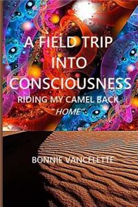 A Field Trip Into Consciousness