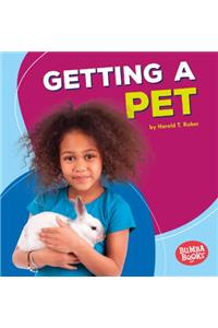 Getting a Pet