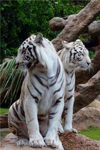 Two White Tigers Journal