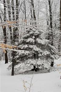 Overcast Afternoon Winter Journal