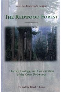 The Redwood Forest