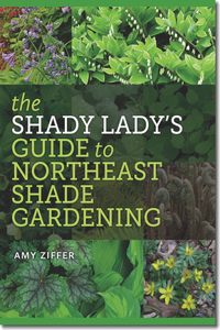 The Shady Lady's Guide to Northeast Shade Gardening