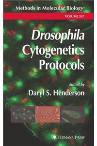 Drosophila Cytogenetics Protocols