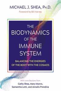 The Biodynamics of the Immune System