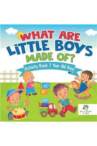 What are Little Boys Made Of? Activity Book 7 Year Old Boy