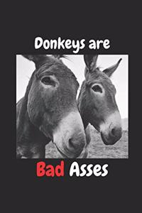 Donkeys are Bad Asses