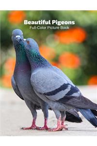 Beautiful Pigeons Full-Color Picture Book