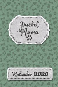 Dackel Kalender 2020
