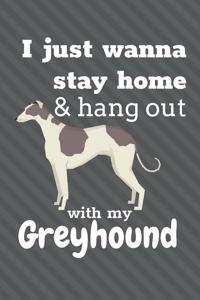 I just wanna stay home & hang out with my Greyhound