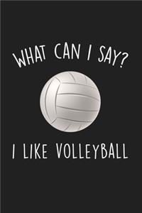 What Can I Say I Like Volleyball