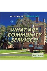 What Are Community Services?