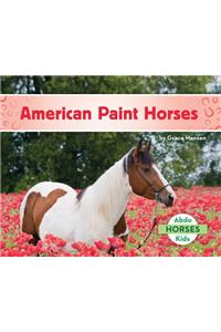 American Paint Horses